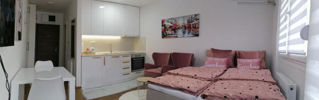 Appartamento Spring Deluxe Novi Sad Esterno foto